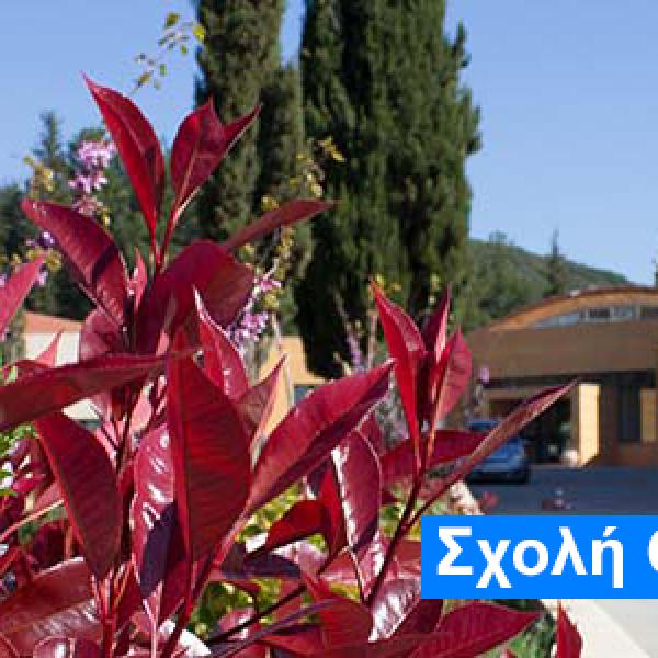Σχολή Οικονομίας και Τεχνολογίας