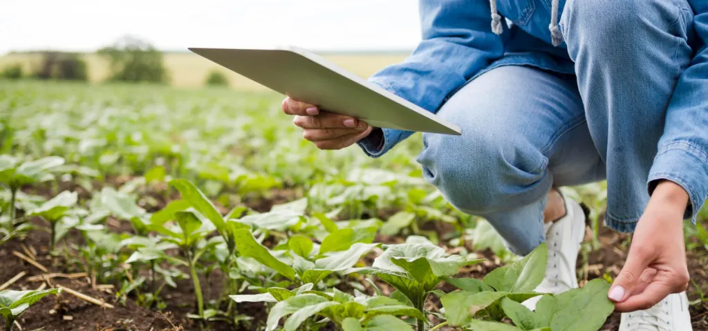 Agriculture and Food